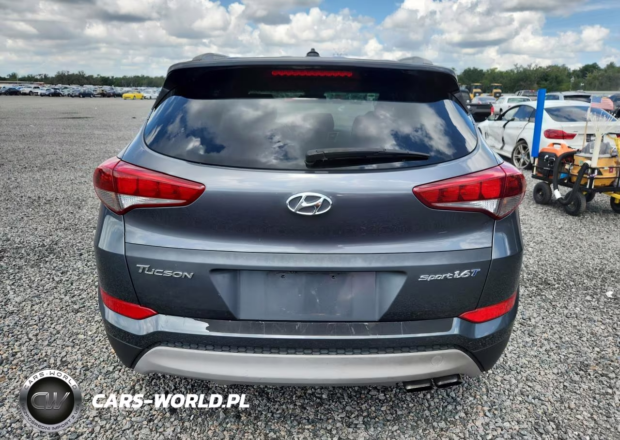 2017 Hyundai Tucson Sport VIN:KM8J33A27HU539518 - 6