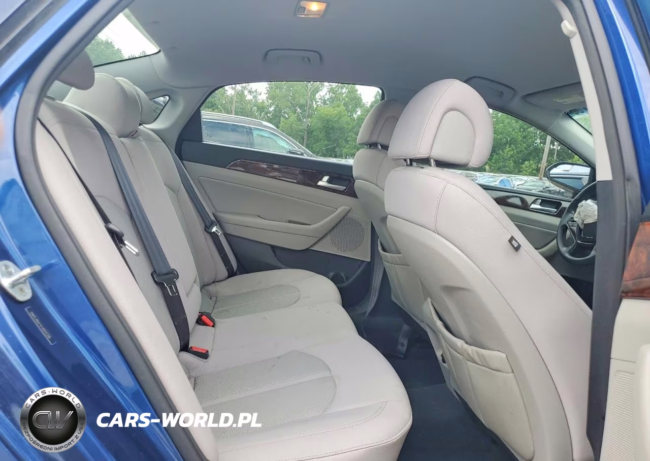 2015 Hyundai Sonata Sport VIN:5NPE34AF1FH024326 - 10