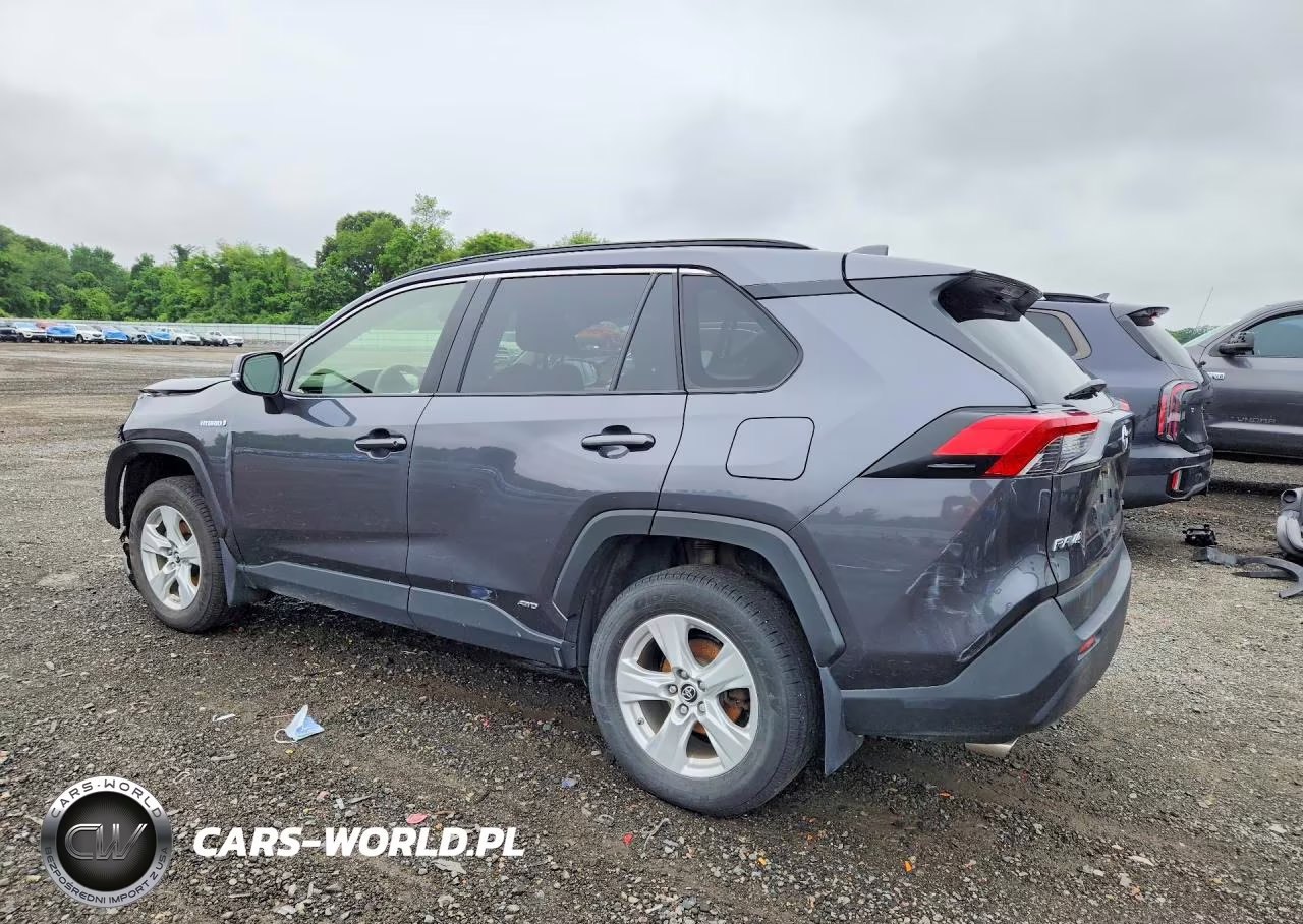 2019 Toyota Rav4 Le VIN:JTMMWRFV0KD028447 - 2