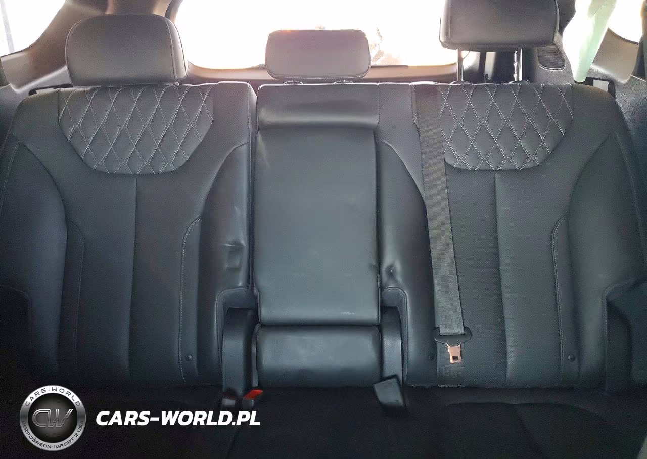 2023 Hyundai Santa Fe Calligraphy VIN:5NMS5DAL8PH512335 - 10