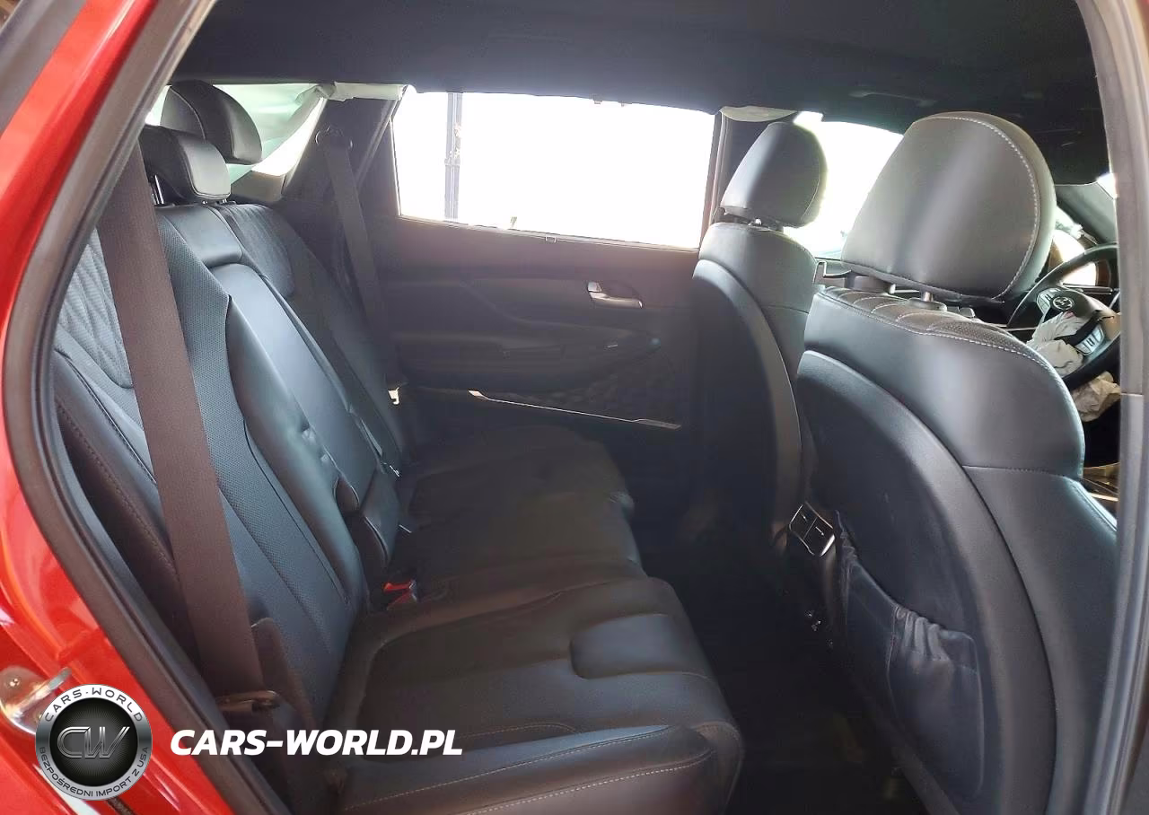 2023 Hyundai Santa Fe Calligraphy VIN:5NMS5DAL8PH512335 - 11