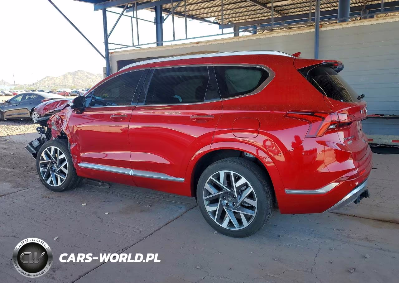 2023 Hyundai Santa Fe Calligraphy VIN:5NMS5DAL8PH512335 - 2