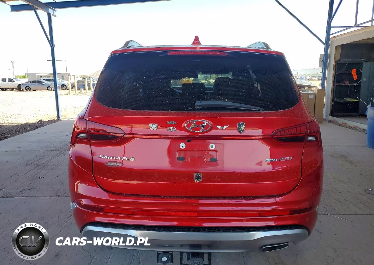 2023 Hyundai Santa Fe Calligraphy VIN:5NMS5DAL8PH512335 - 6