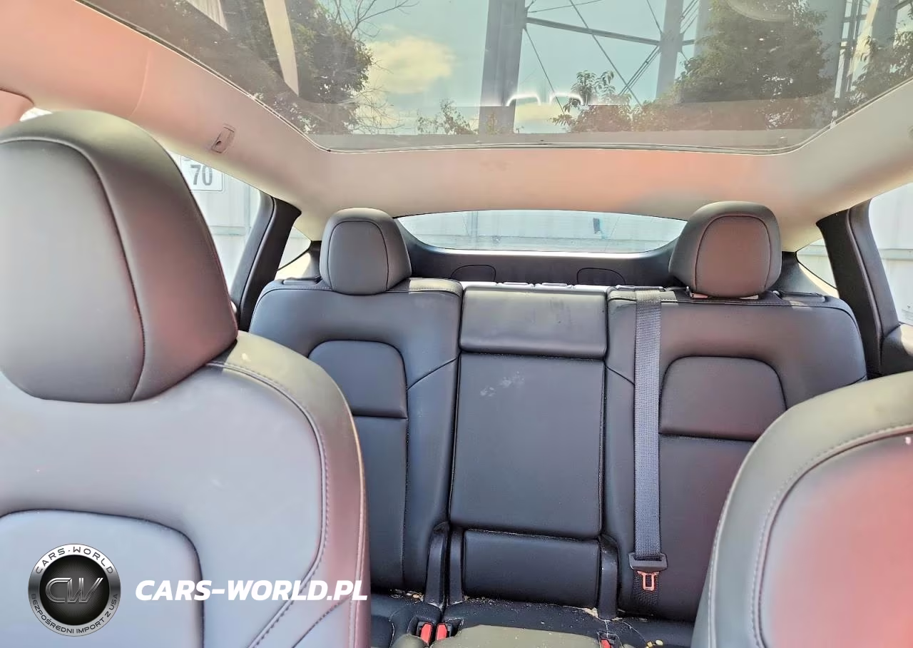 2024 Tesla Model Y VIN:7SAYGAEE5RF182904 - 10