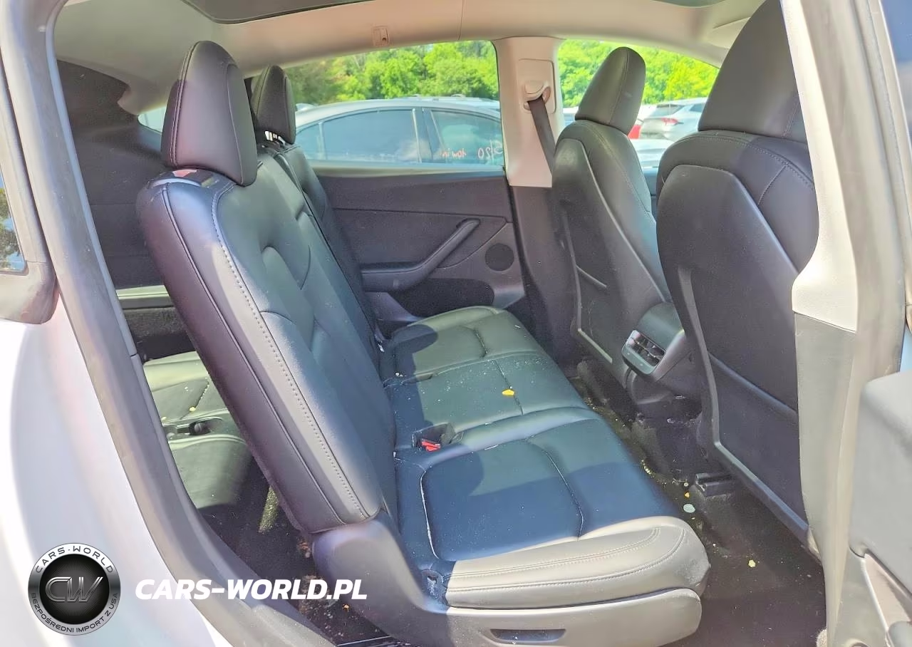 2024 Tesla Model Y VIN:7SAYGAEE5RF182904 - 11