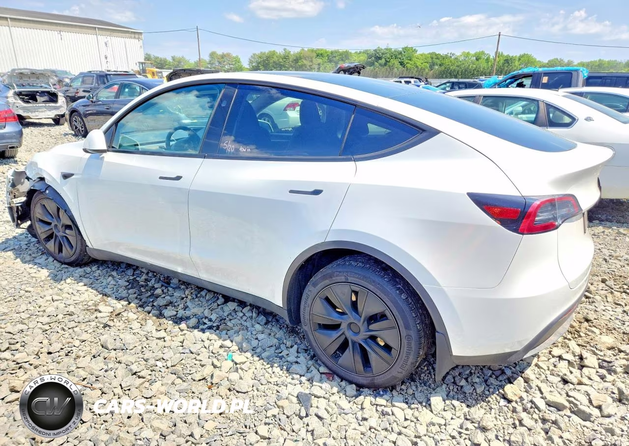 2024 Tesla Model Y VIN:7SAYGAEE5RF182904 - 2