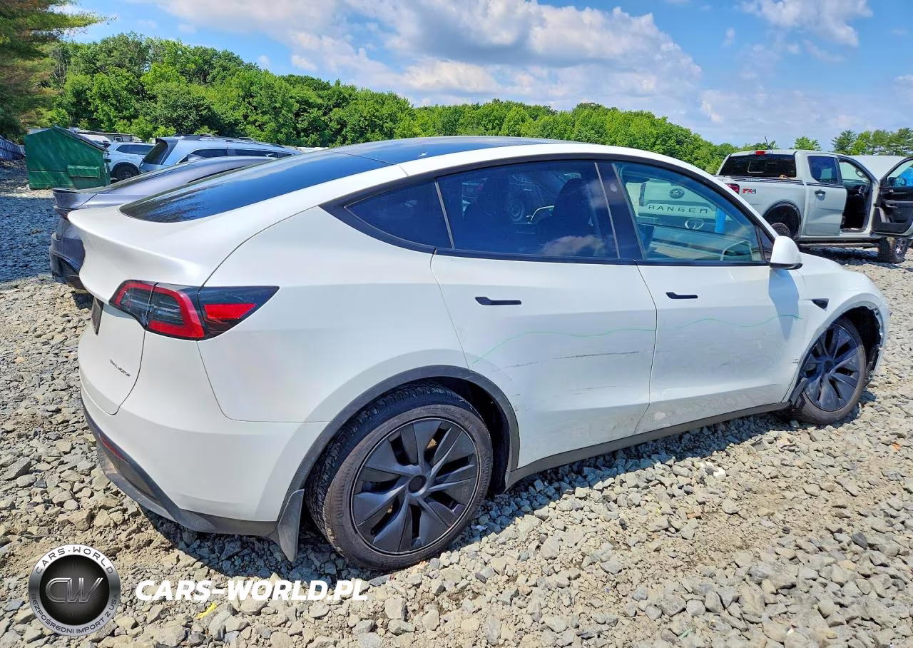 2024 Tesla Model Y VIN:7SAYGAEE5RF182904 - 3