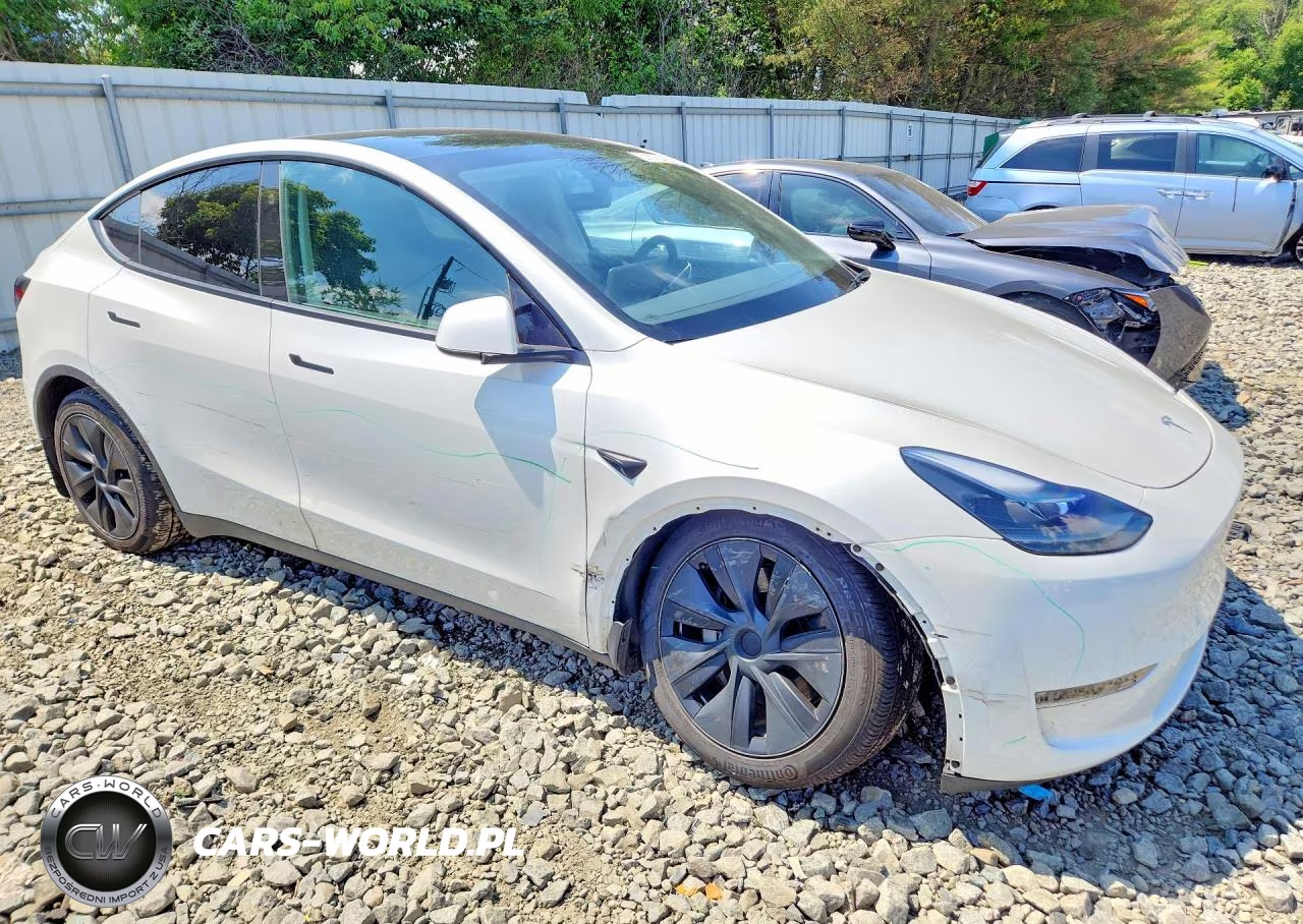 2024 Tesla Model Y VIN:7SAYGAEE5RF182904 - 4