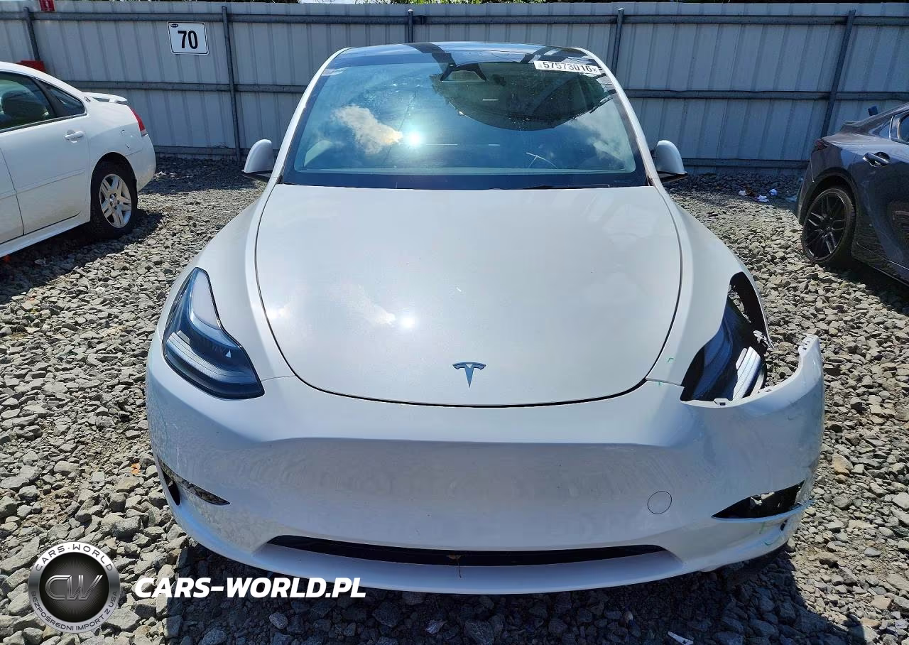 2024 Tesla Model Y VIN:7SAYGAEE5RF182904 - 5