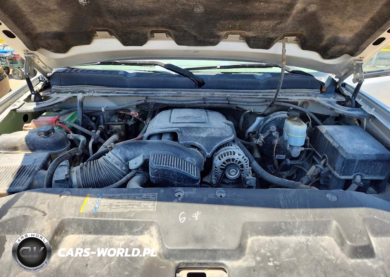 2010 Chevrolet Silverado K1500 VIN:1GCPKPEA6AZ216614 - 11