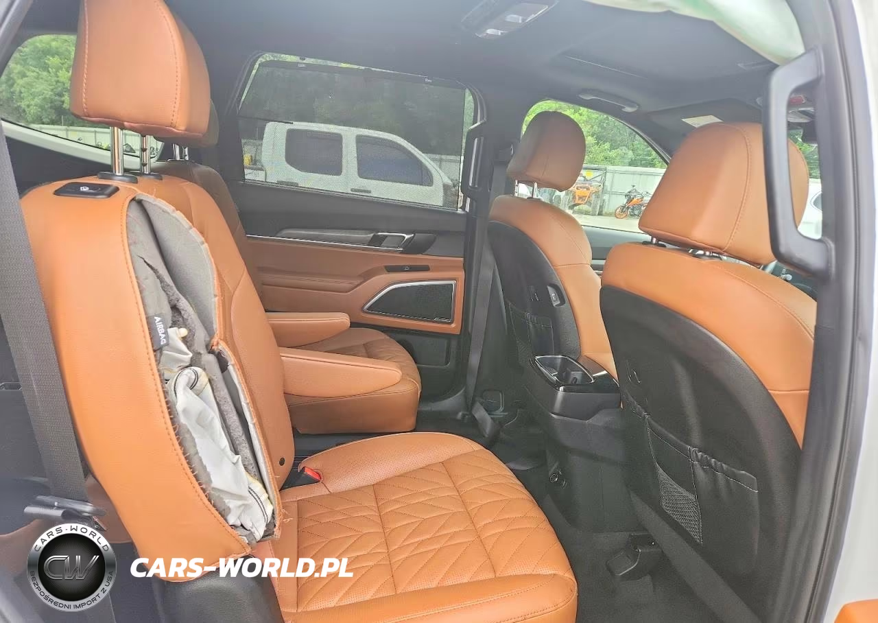 2025 Kia Telluride Ex X-Line VIN:5XYP3DGC3SG570858 - 11