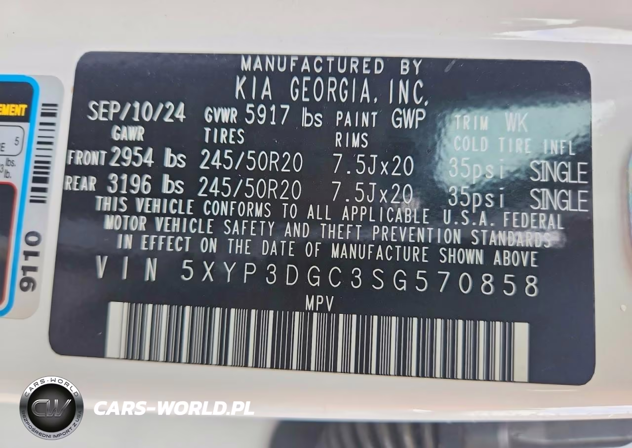 2025 Kia Telluride Ex X-Line VIN:5XYP3DGC3SG570858 - 13