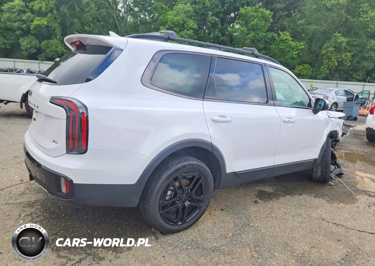 2025 Kia Telluride Ex X-Line VIN:5XYP3DGC3SG570858 - 3