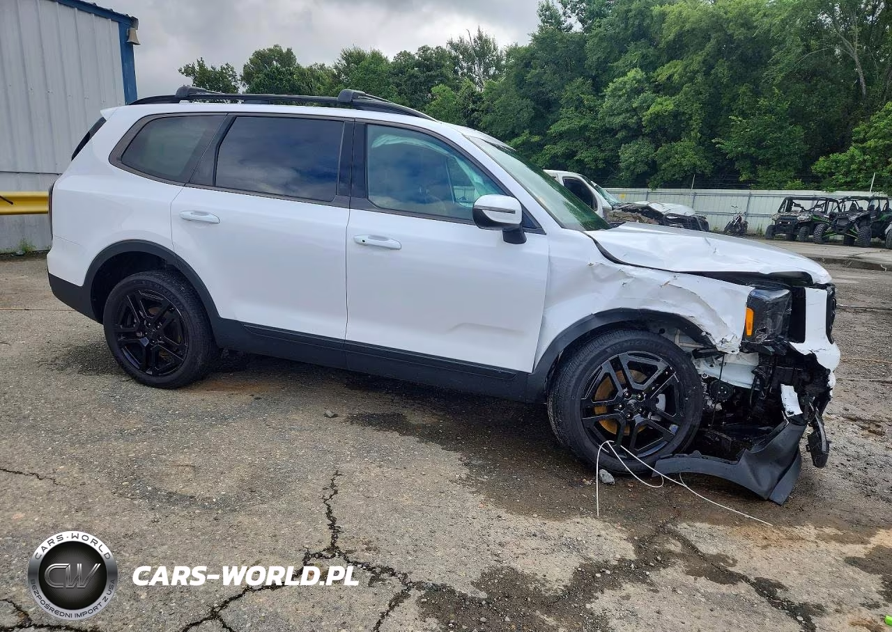 2025 Kia Telluride Ex X-Line VIN:5XYP3DGC3SG570858 - 4
