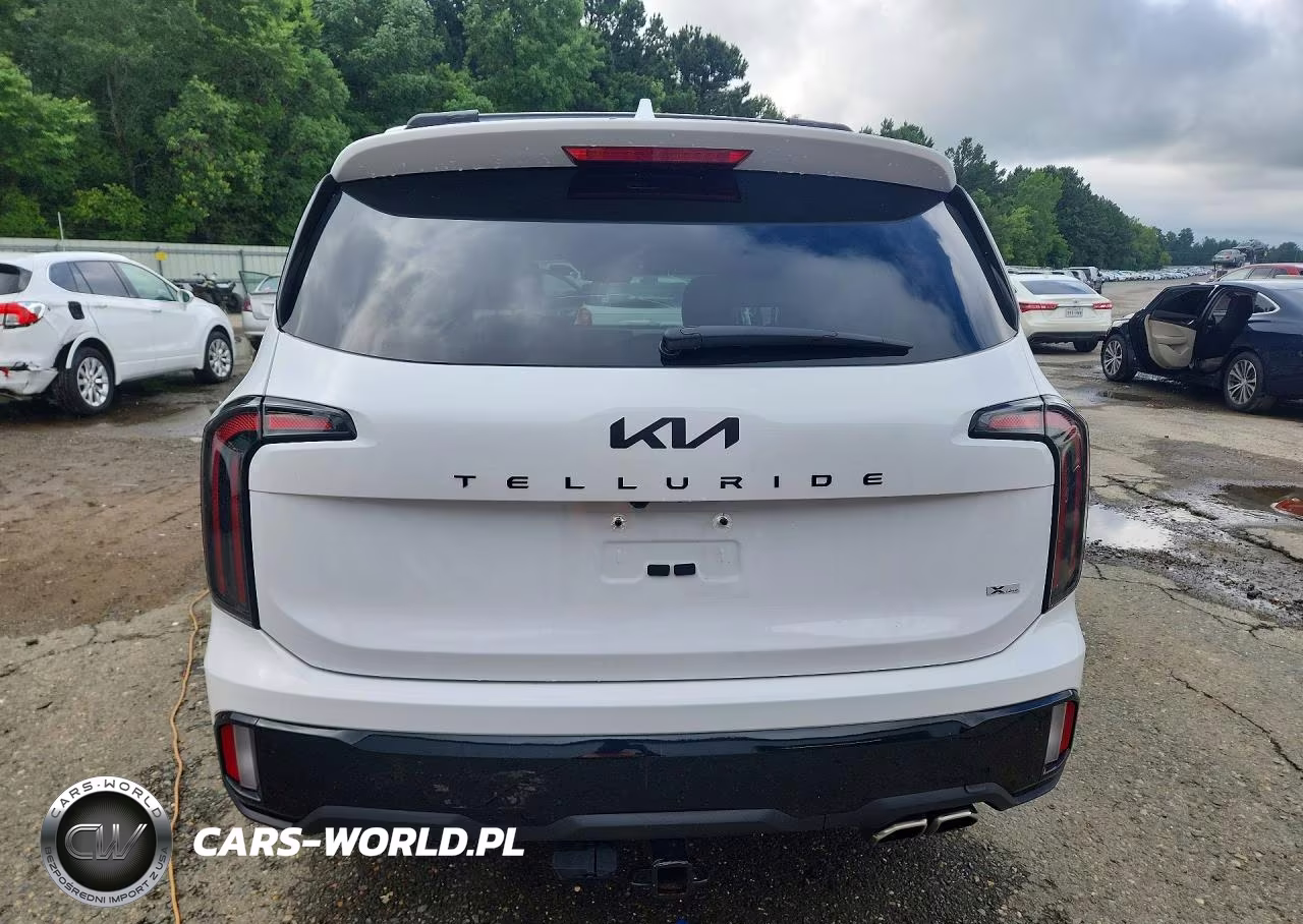 2025 Kia Telluride Ex X-Line VIN:5XYP3DGC3SG570858 - 6