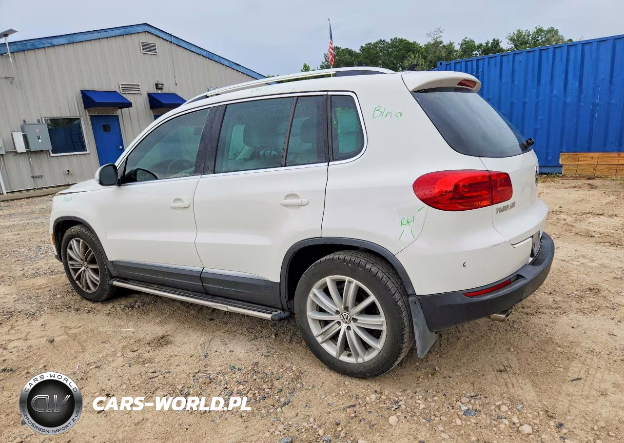 2014 Volkswagen Tiguan S VIN:WVGAV3AX1EW540878 - 2