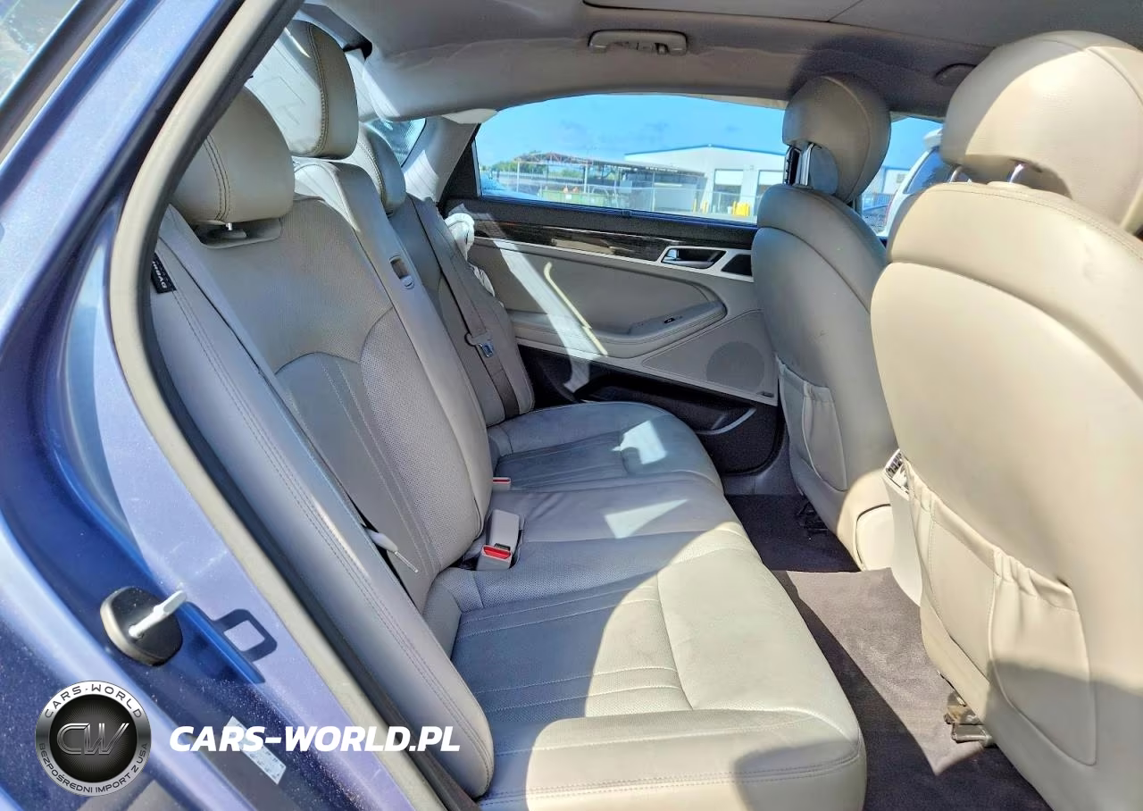 2015 Hyundai Genesis VIN:KMHGN4JEXFU073746 - 10