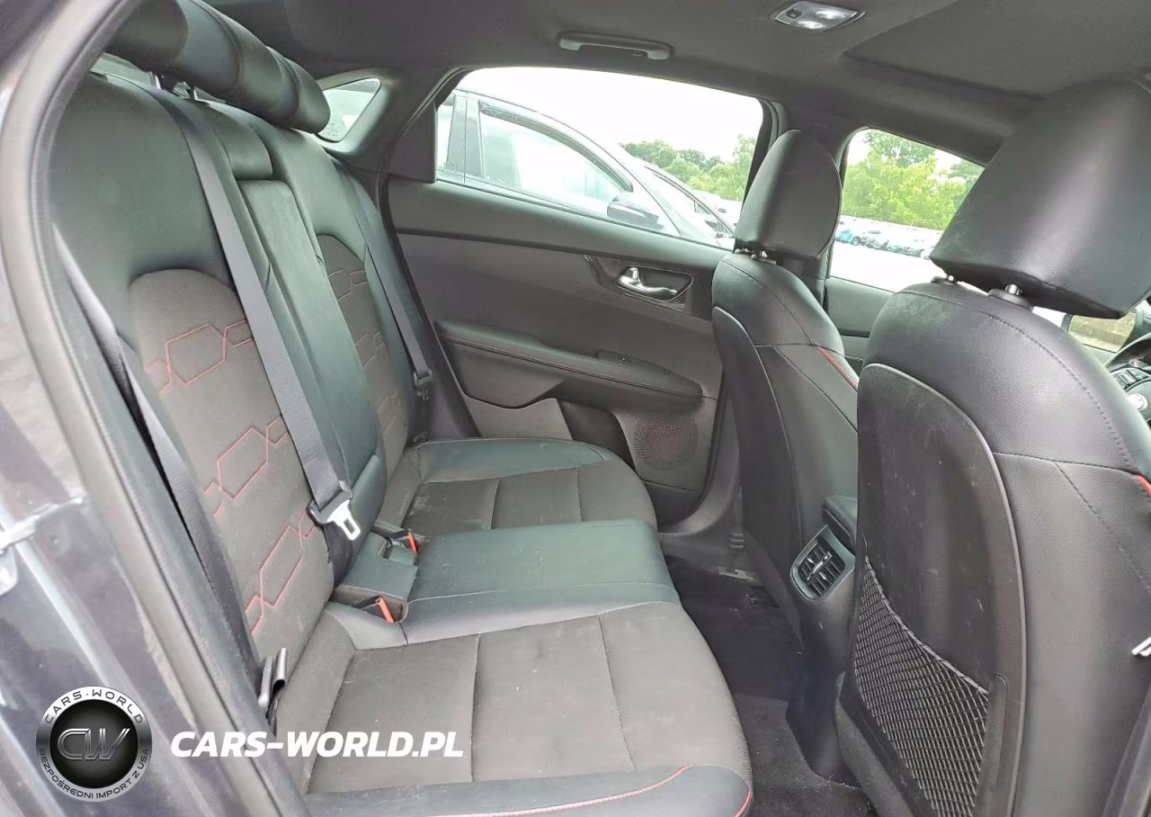 2020 Kia Forte Gt VIN:3KPF44AC1LE225456 - 10