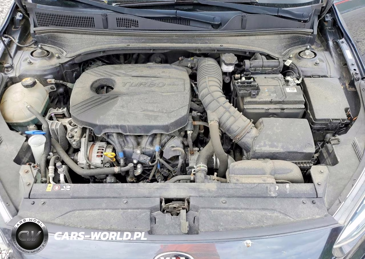 2020 Kia Forte Gt VIN:3KPF44AC1LE225456 - 11