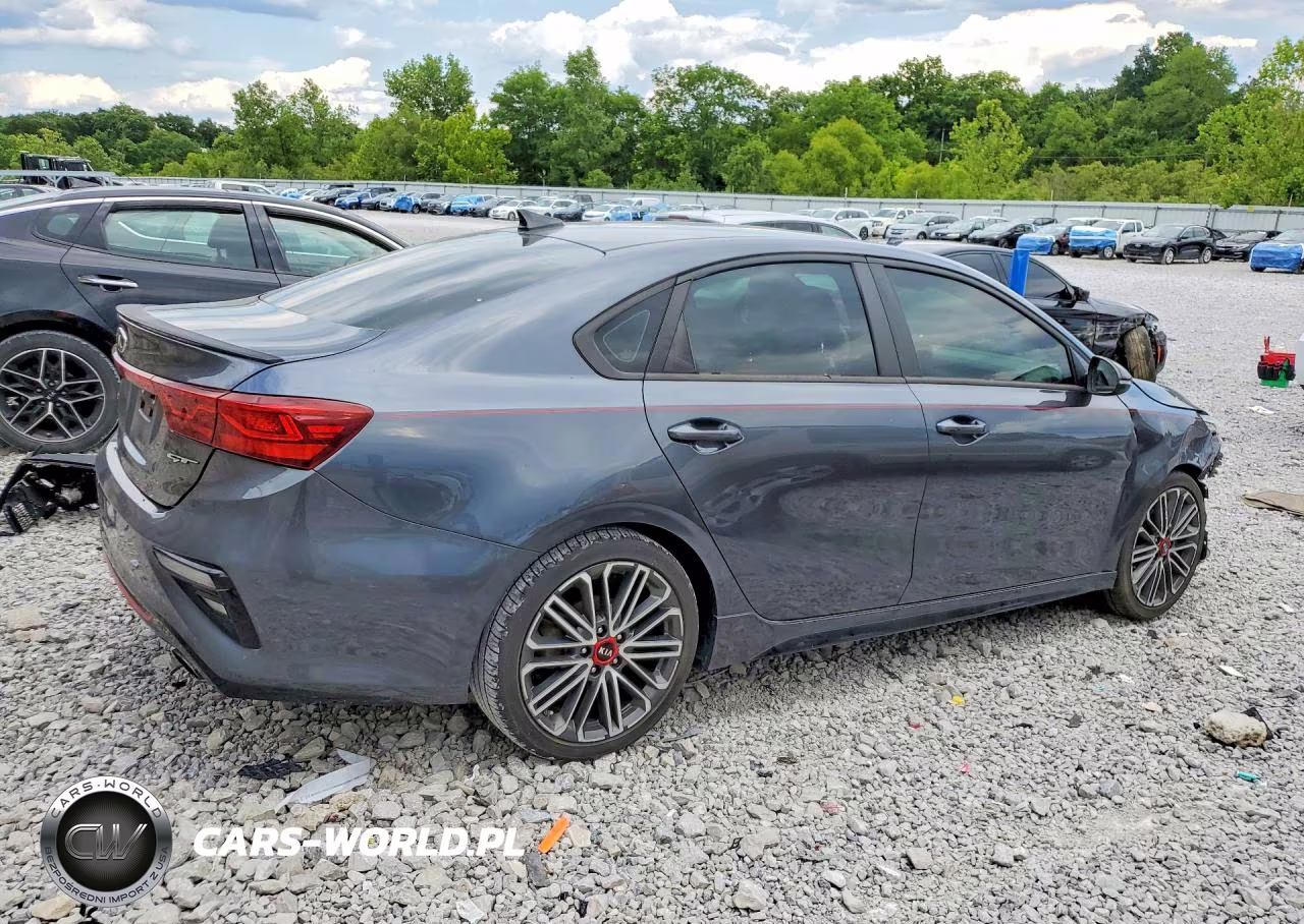 2020 Kia Forte Gt VIN:3KPF44AC1LE225456 - 3