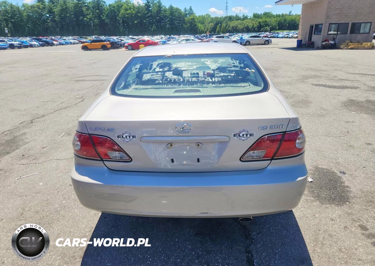 2003 Lexus Es 300 VIN:JTHBF30GX30128920 - 6