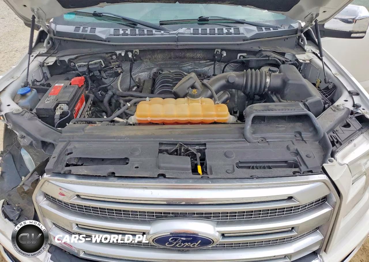 2015 Ford F150 Supercrew VIN:1FTEW1EF4FFB38251 - 11