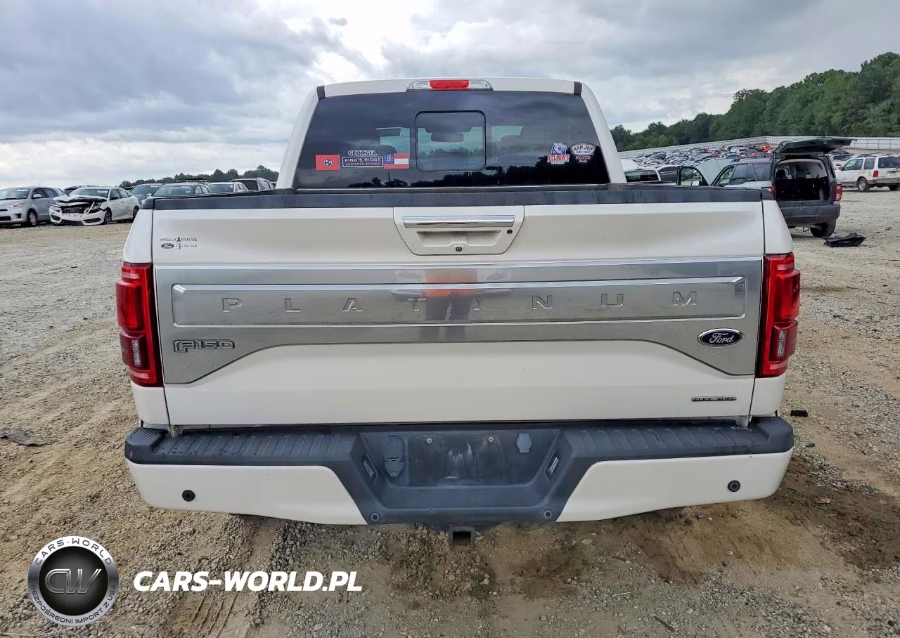 2015 Ford F150 Supercrew VIN:1FTEW1EF4FFB38251 - 6