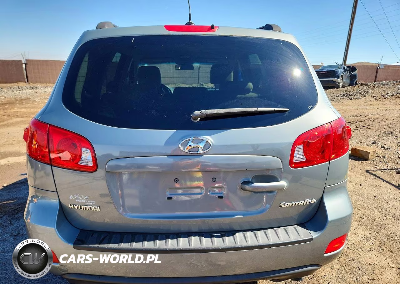 2009 Hyundai Santa Fe Gls VIN:5NMSG13D39H267123 - 6