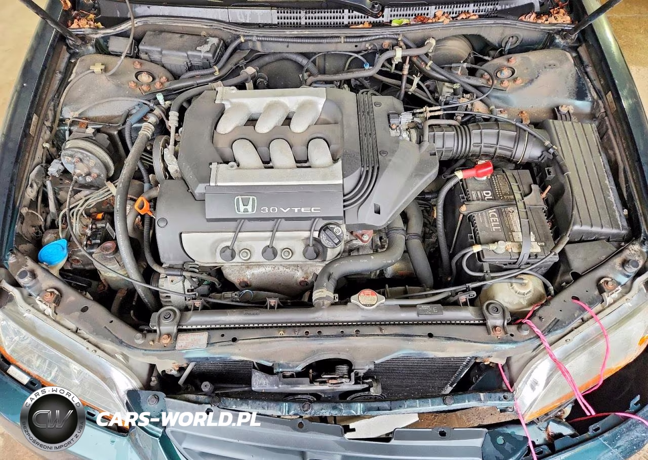 1998 Honda Accord Ex VIN:1HGCG2255WA026241 - 11