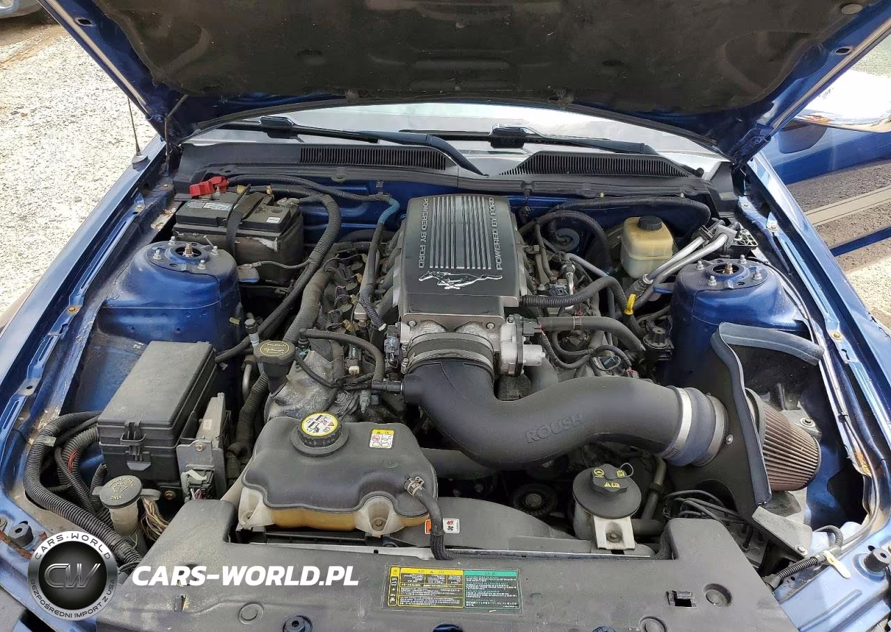 2008 Ford Mustang Gt VIN:1ZVHT82H585185055 - 11