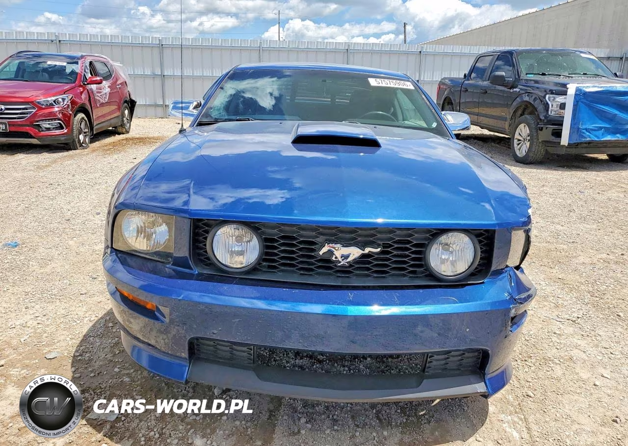 2008 Ford Mustang Gt VIN:1ZVHT82H585185055 - 5