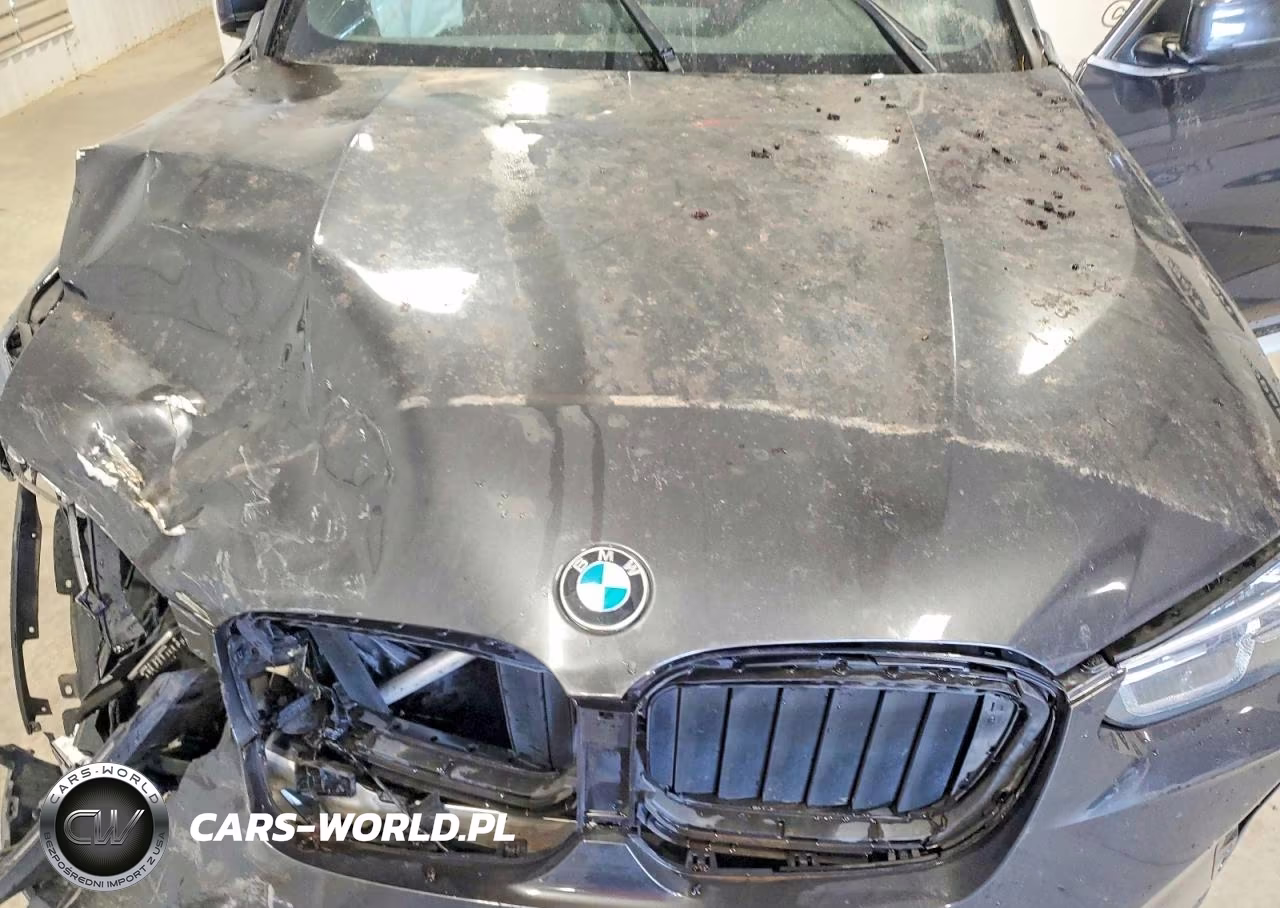 2022 BMW X3 Sdrive30I VIN:5UX43DP04N9N34528 - 11