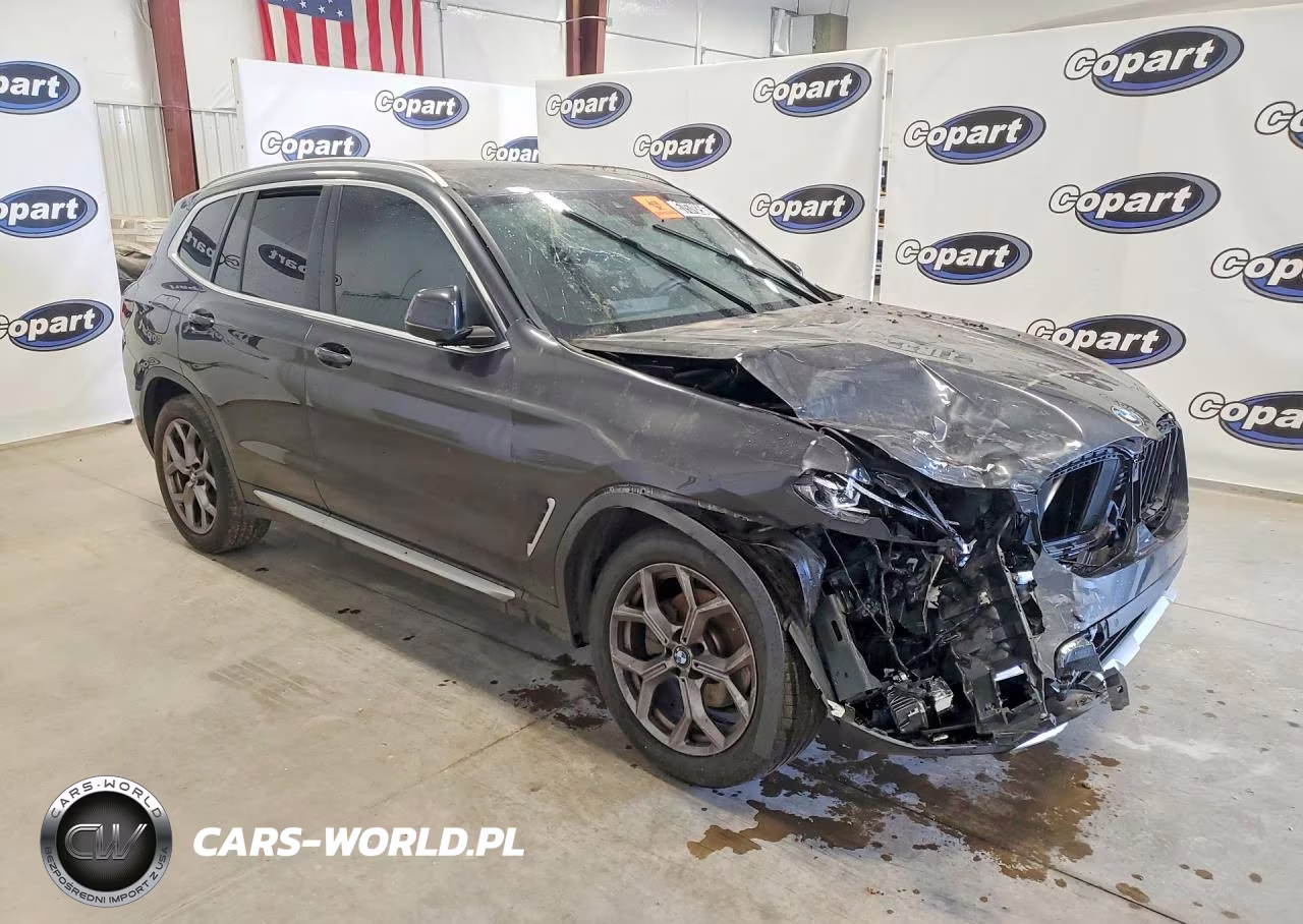 2022 BMW X3 Sdrive30I VIN:5UX43DP04N9N34528 - 4