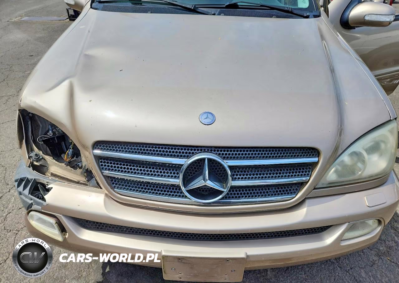 2004 Mercedes-Benz Ml 350 VIN:4JGAB57EX4A502958 - 11