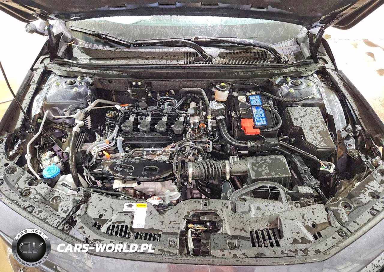 2026 Honda Accord Lx VIN:1HGCY1F26TA021648 - 11