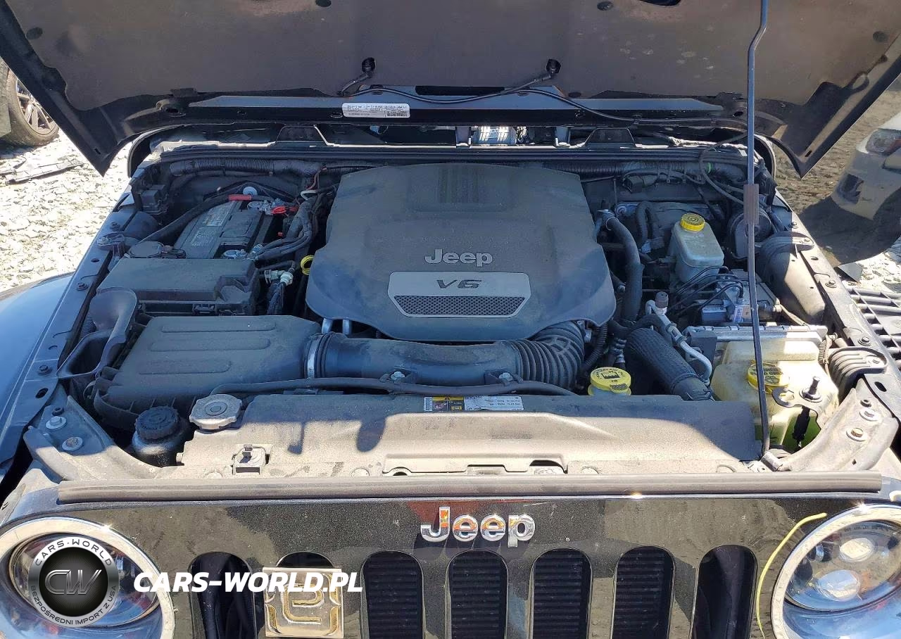 2015 Jeep Wrangler Altitude 4W VIN:1C4HJWCG3FL579553 - 11