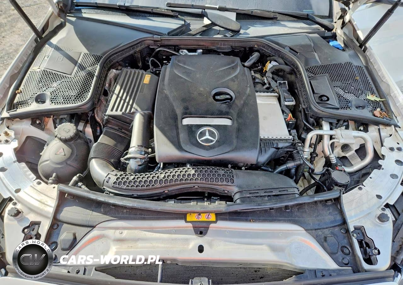 2017 Mercedes-Benz C 300 4Matic VIN:55SWF4KB8HU219542 - 11