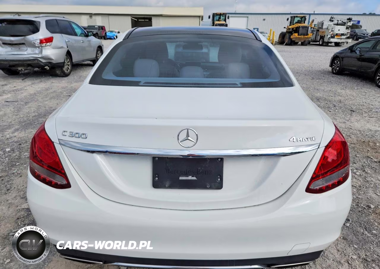 2017 Mercedes-Benz C 300 4Matic VIN:55SWF4KB8HU219542 - 6