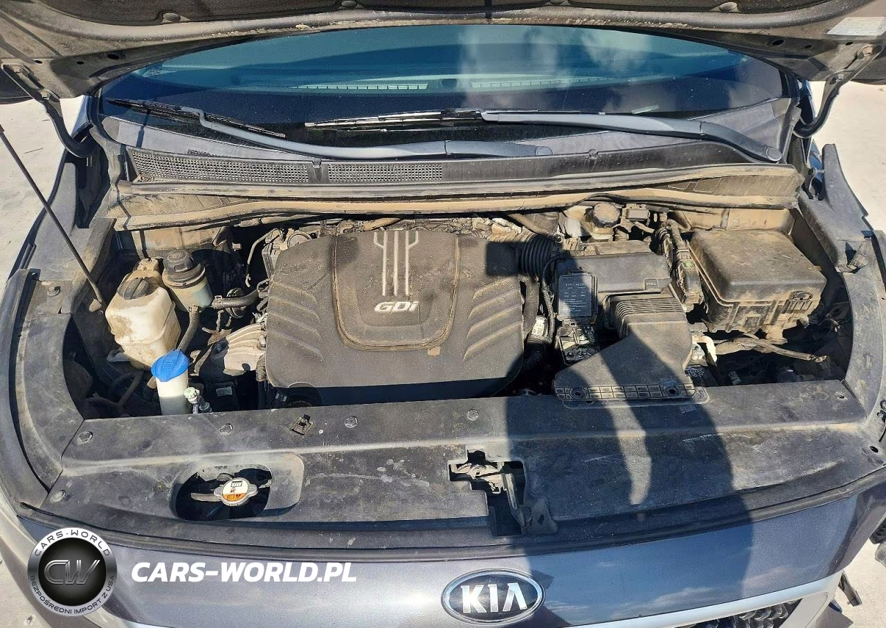 2017 Kia Sedona Lx VIN:KNDMB5C10H6218879 - 12