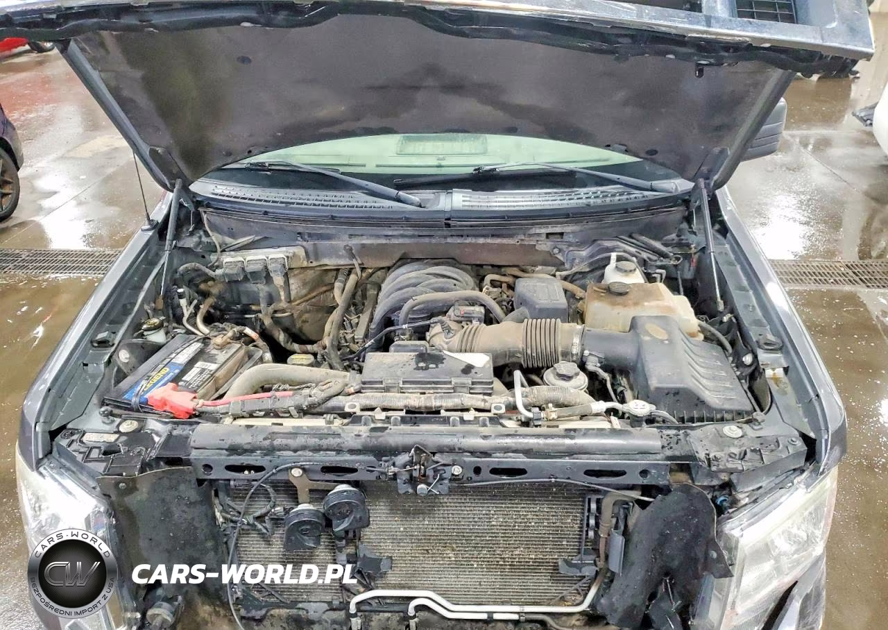 2010 Ford F150 Supercrew VIN:1FTEW1E89AFA15197 - 11