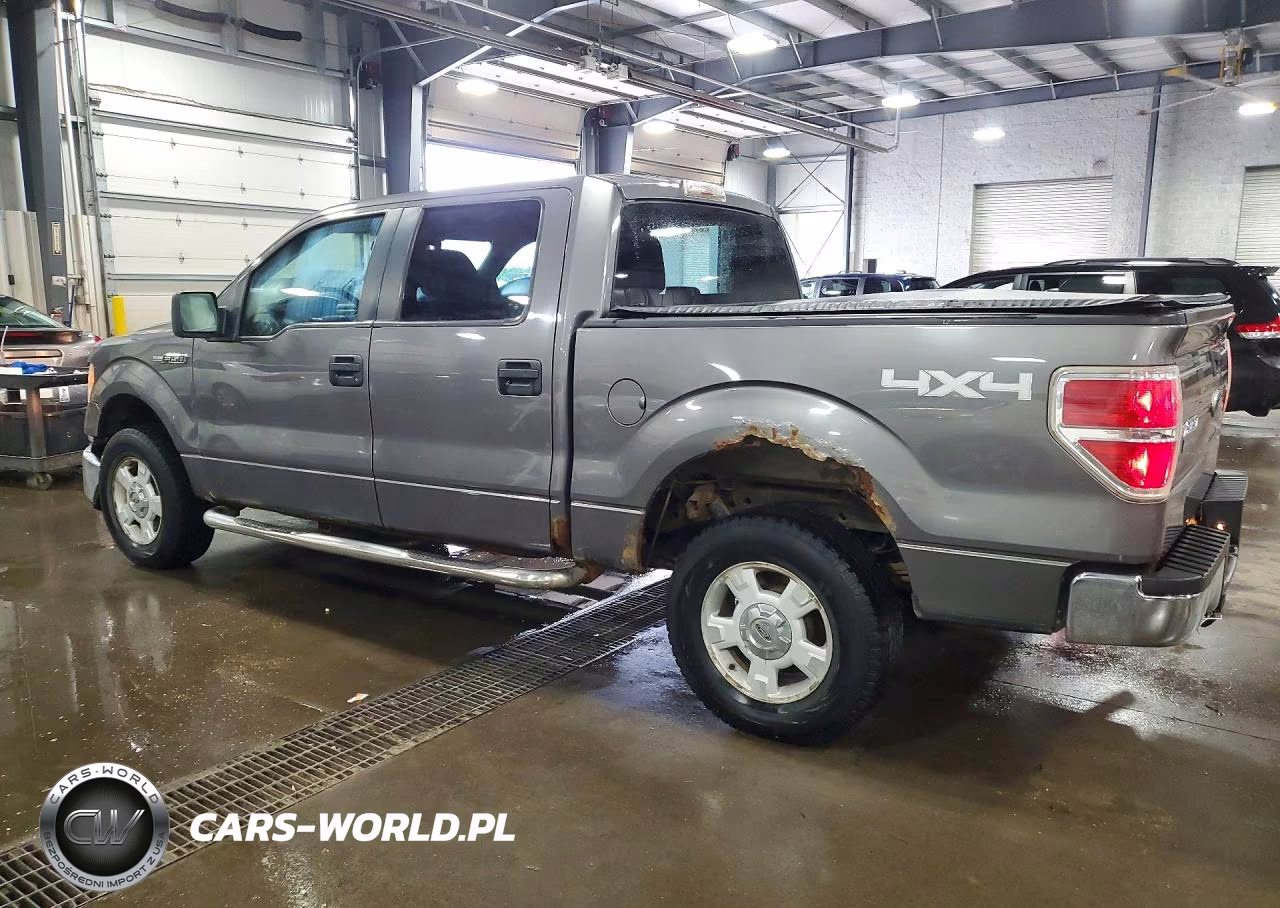 2010 Ford F150 Supercrew VIN:1FTEW1E89AFA15197 - 2