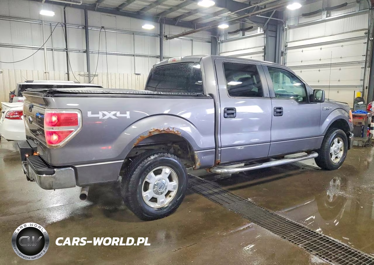 2010 Ford F150 Supercrew VIN:1FTEW1E89AFA15197 - 3