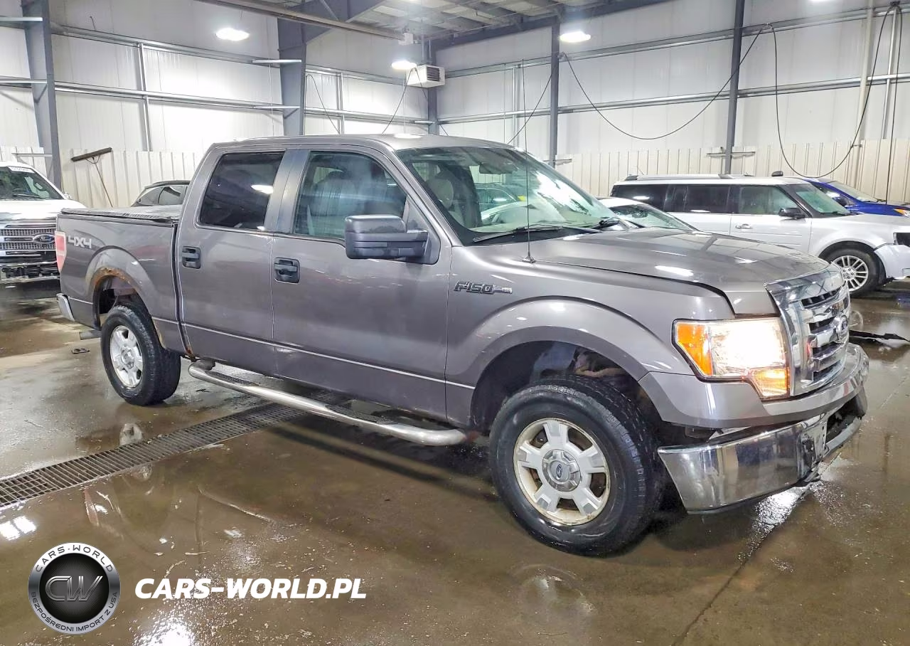 2010 Ford F150 Supercrew VIN:1FTEW1E89AFA15197 - 4
