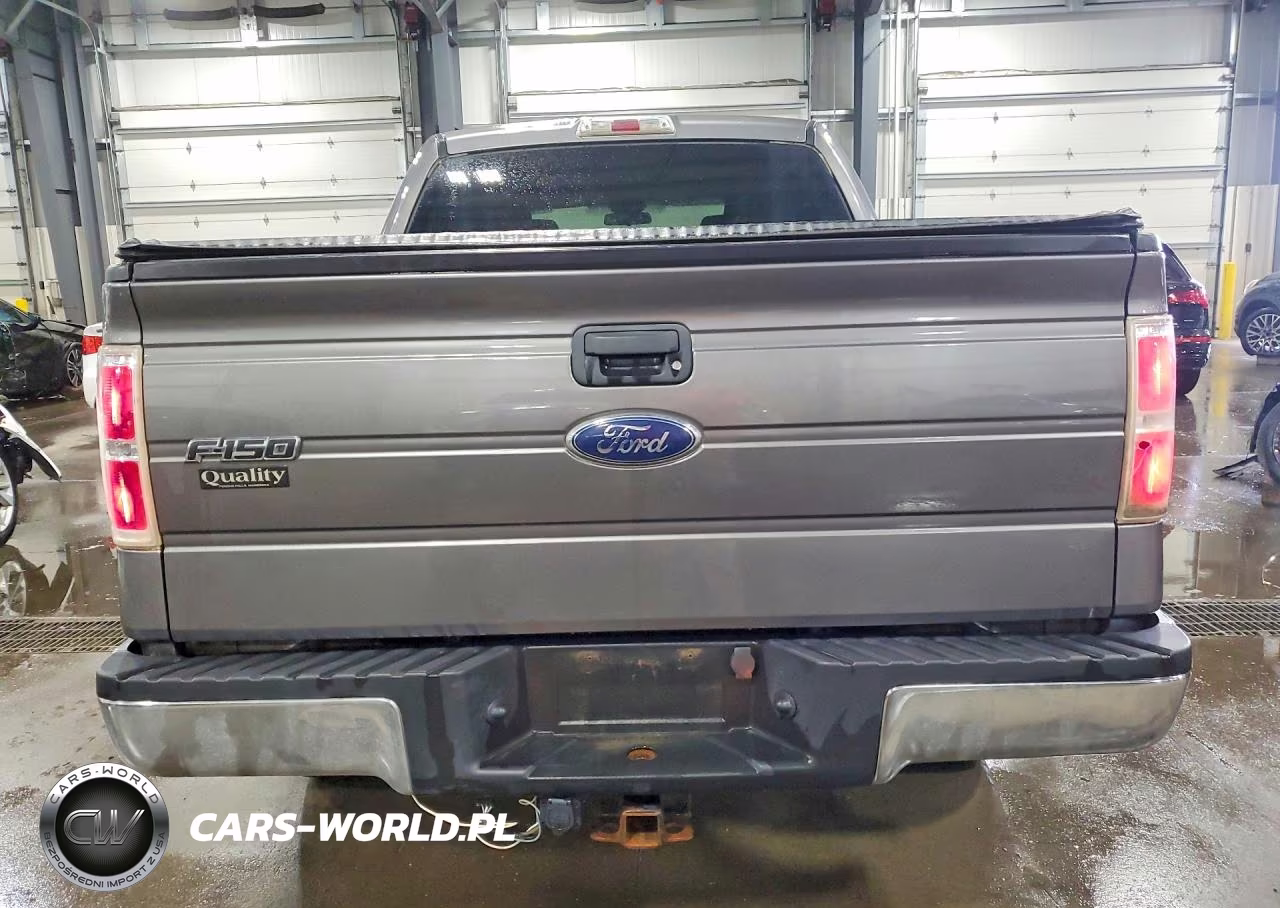 2010 Ford F150 Supercrew VIN:1FTEW1E89AFA15197 - 6