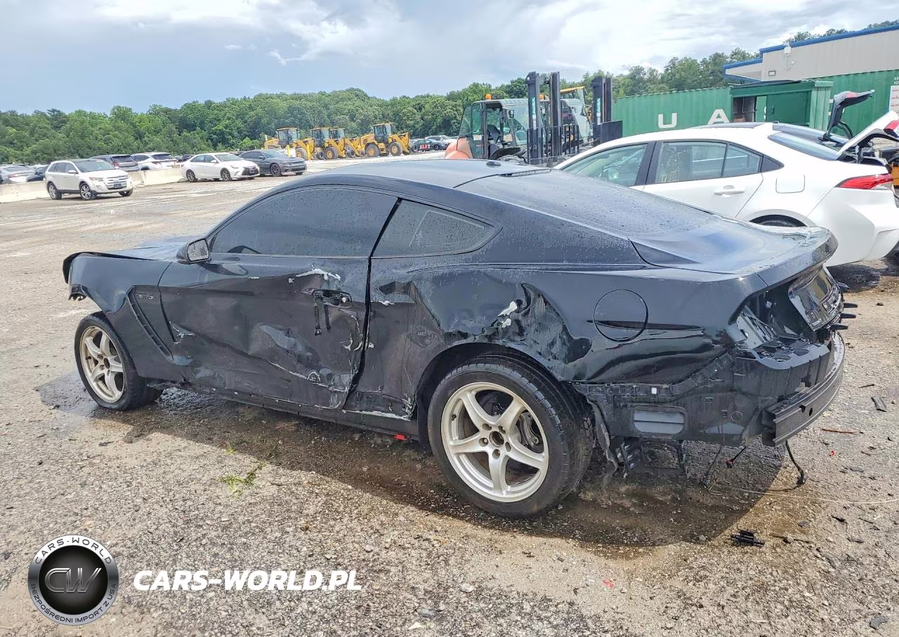 2018 Ford Mustang Shelby Gt350 VIN:1FA6P8JZ0J5501370 - 2