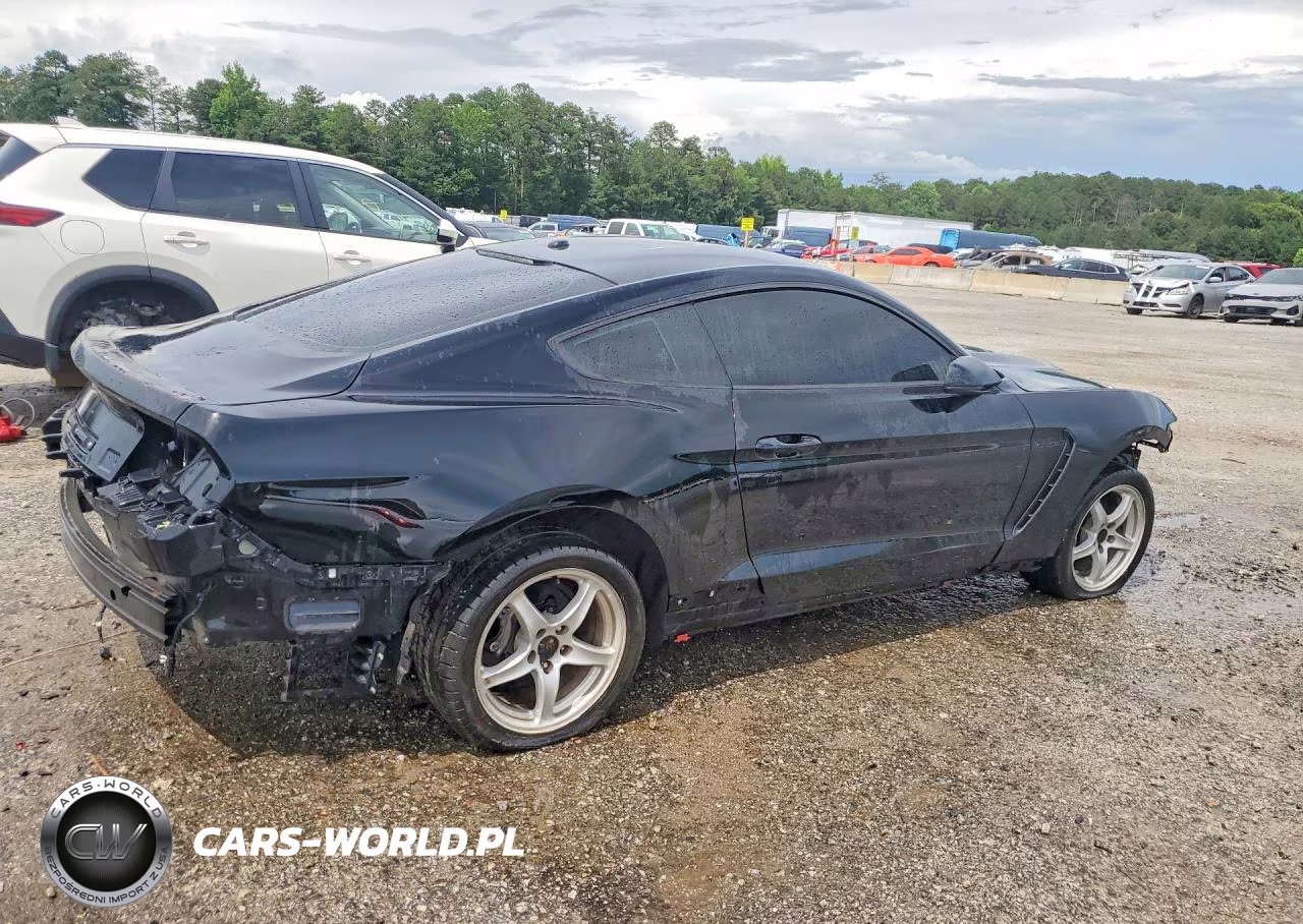 2018 Ford Mustang Shelby Gt350 VIN:1FA6P8JZ0J5501370 - 3