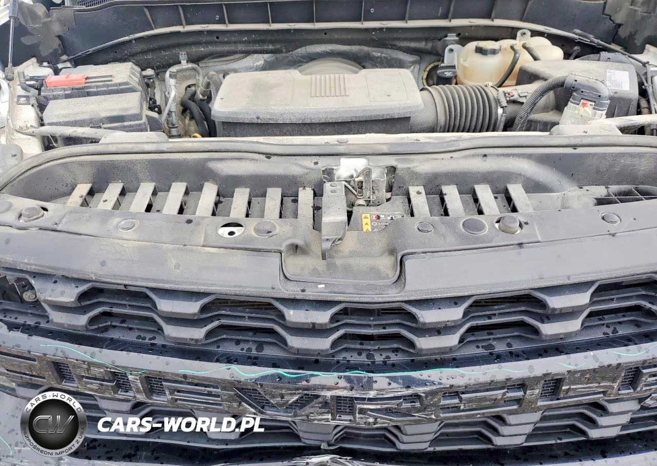 2020 Chevrolet Silverado K1500 Trail Boss Custom VIN:3GCPYCEFXLG117350 - 11