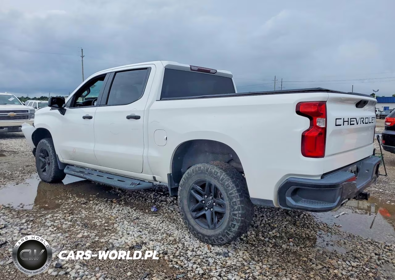 2020 Chevrolet Silverado K1500 Trail Boss Custom VIN:3GCPYCEFXLG117350 - 2