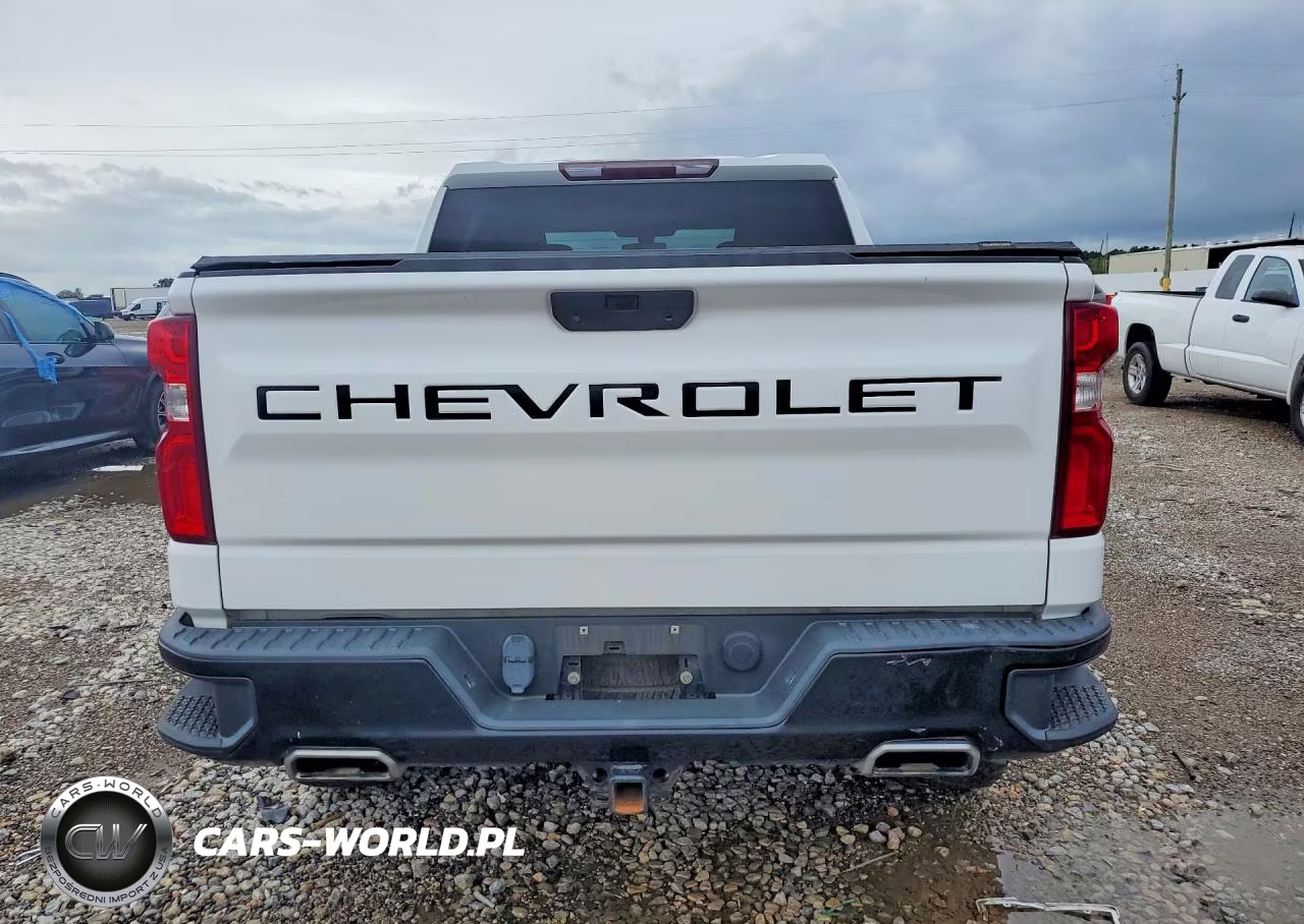 2020 Chevrolet Silverado K1500 Trail Boss Custom VIN:3GCPYCEFXLG117350 - 6