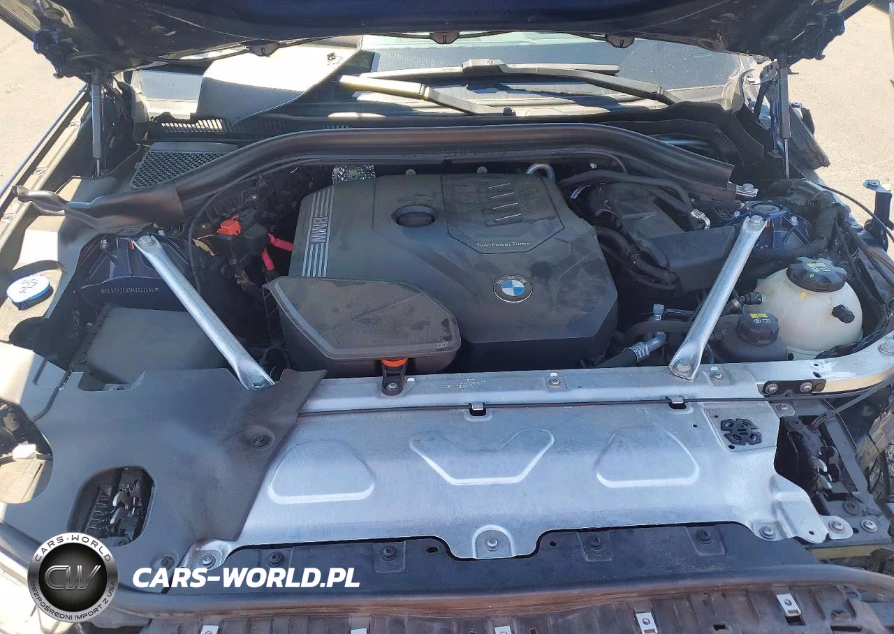 2021 BMW X3 Sdrive30I VIN:5UXTY3C00M9G33460 - 12